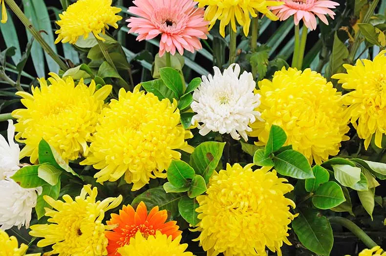 Funeral flowers